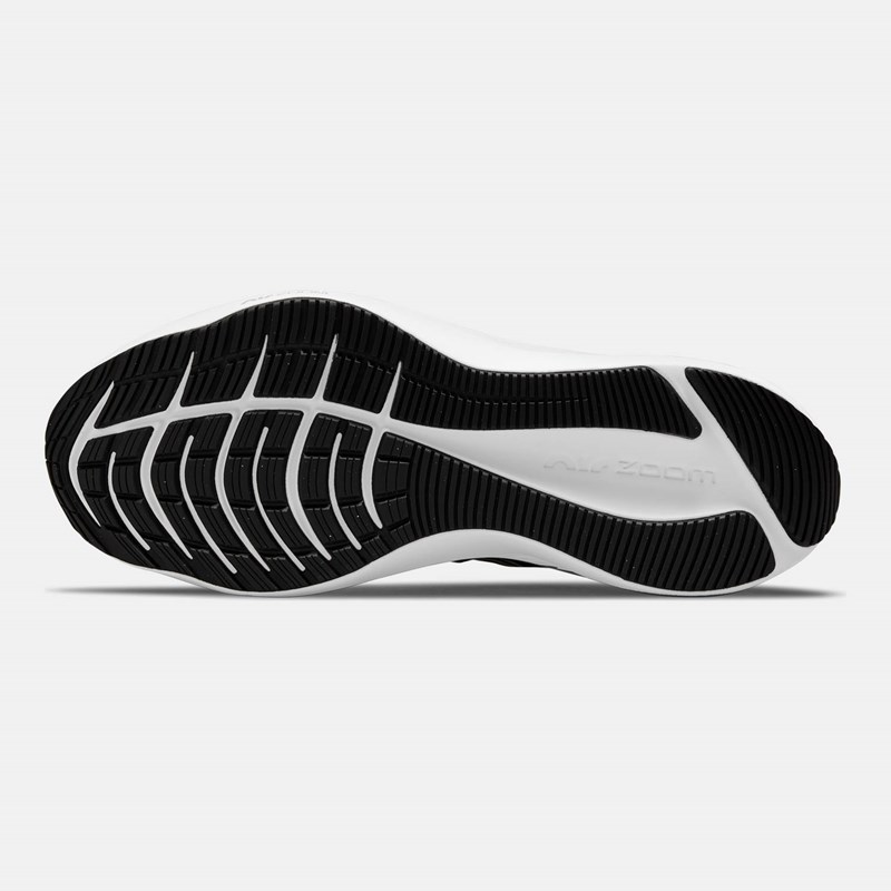 Γυναικεία Παπούτσια για Τρέξιμο Winflo 8