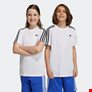 Παιδικό T-shirt Essentials 3-Stripes Cotton