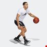 Ανδρικό T-shirt Inline Basketball Graphic
