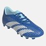 Ανδρικά Ποδοσφαιρικά Παπούτσια Predator Accuracy.4 FXG