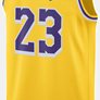 Ανδρική Εμφάνιση Μπάσκετ LeBron James  Los Angeles Lakers Icon Edition 2022/23