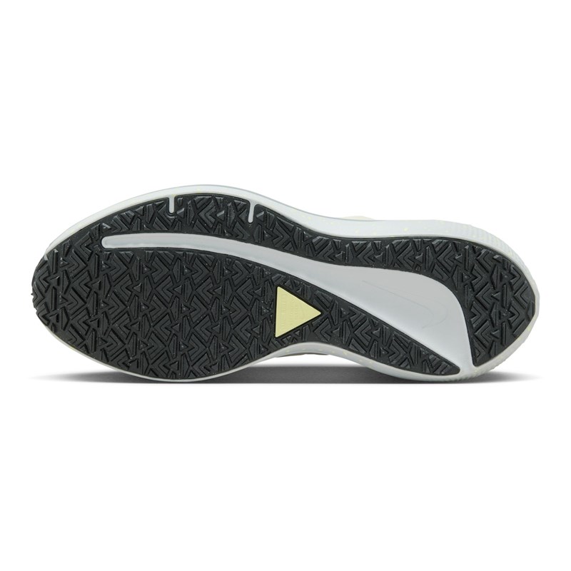 Γυναικεία Παπούτσια για Τρέξιμο Air Winflo Shield